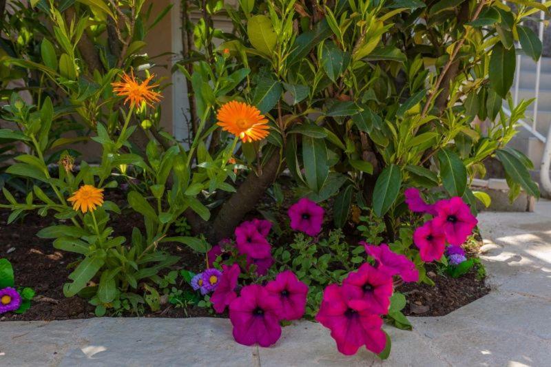 Apartment Luna I Lucky دوبروفينك المظهر الخارجي الصورة